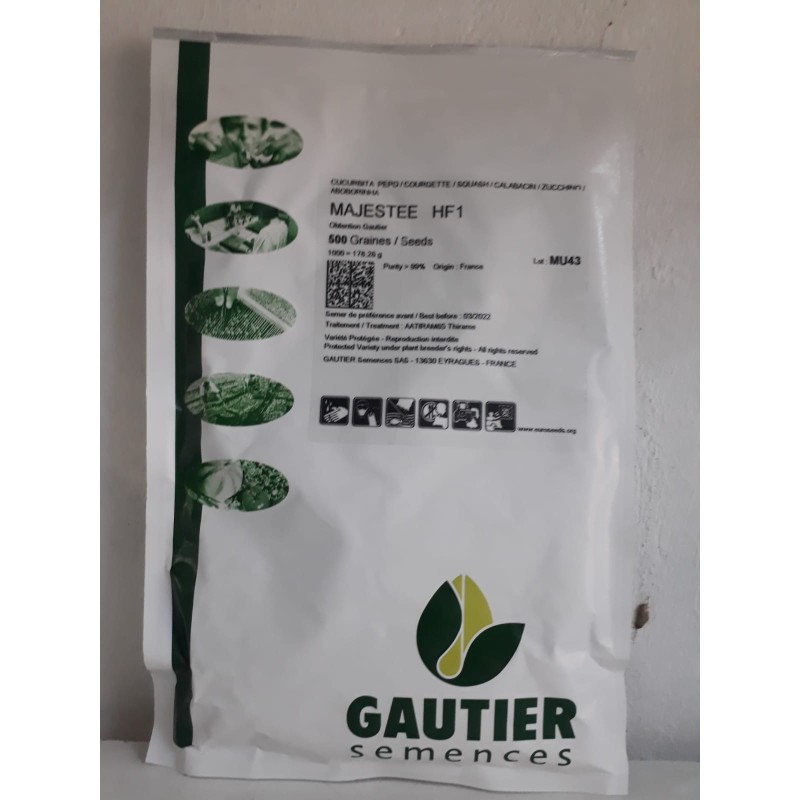 GAUTIER MAJESTE F1 KABAK TOHUMU 500 ADET
