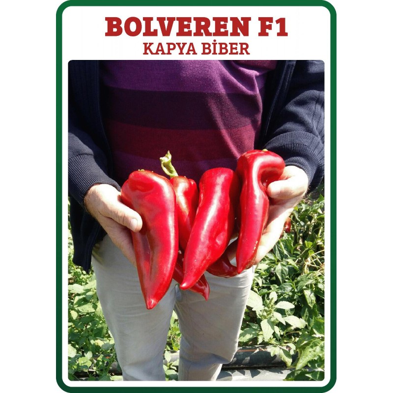 Bolveren F1 Kapya Salçalık Biber Tohumu 1000 Adet