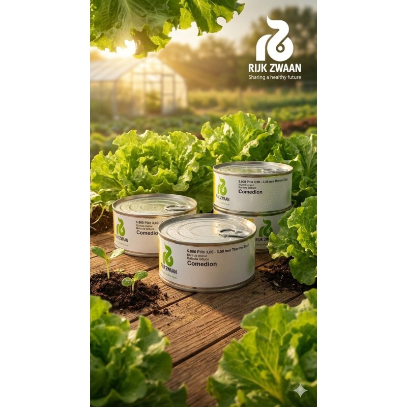 Rijk Zwaan Comedion Marul Tohumu 5000 Adet