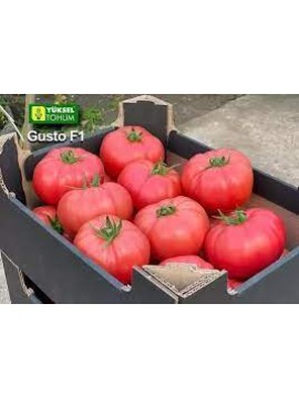 Yüksel Tohum Gusto F1 Sırık Pembe Domates Tohumu 1000 Adet 