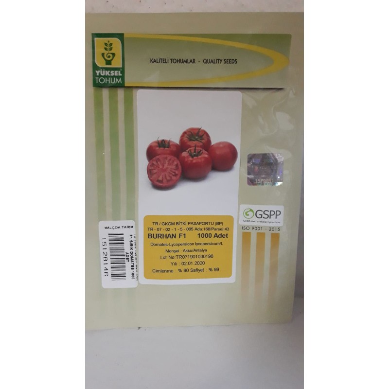 YÜKSEL TOHUM BURHAN F1 SIRIK DOMATES 1000 ADET 