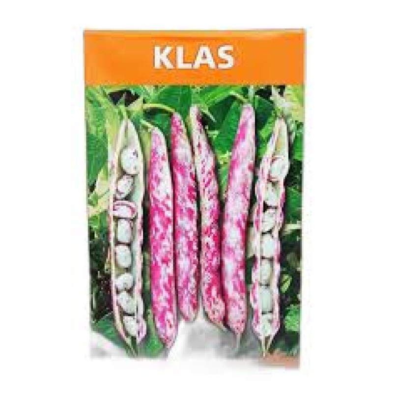 Poltar Tohum Klas Barbunya Tohumu 15 kg