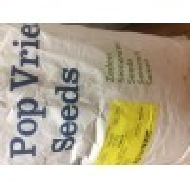 Pop Verie Yaman F1 Hibrit Kışlık Ispanak Tohumu 1.000.000 ADET