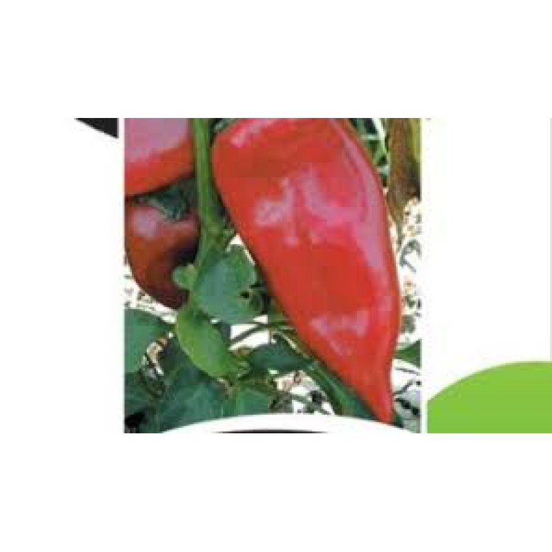 Küçük Çiftlik Kaptan Salçalık Biber Tohumu 100 gr