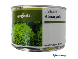 Syngenta Kanaryole Marul Tohumu 5000 Adet Pellet