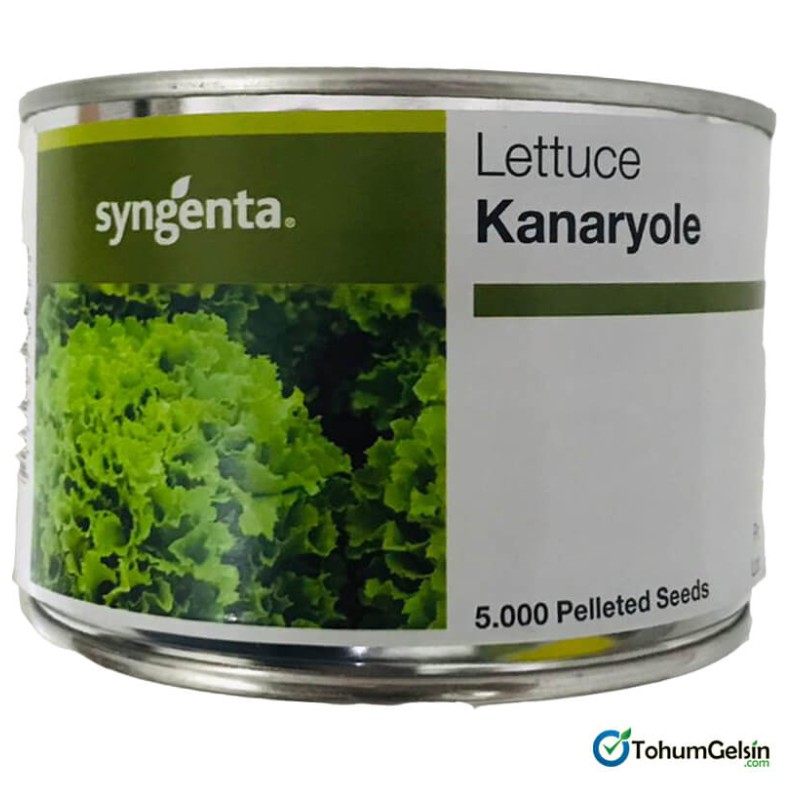 Syngenta Kanaryole Marul Tohumu 5000 Adet Pellet