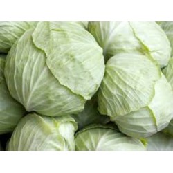 Hibrit F1 Beyaz Lahana Tohumları (6)