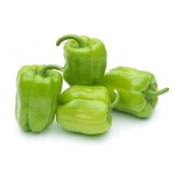 Hibrit F1 Dolma Biber Tohumları (5)