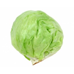 Hibrit F1 Iceberg Marul Tohumları (0)