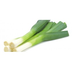 Pırasa Tohumları (4)