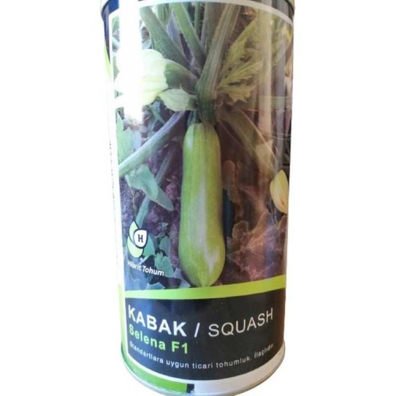 Küçük Çiftlik Selena F1 Hibrit Kabak Tohumu 100 GR