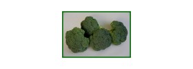 Brokoli Tohumlar
