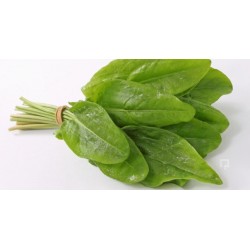 Ekşiotu Tohumları (1)