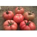Neslişah F1 (A-Z  12)Oturak Pembe  Domates Tohumu 1000 Adet