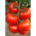 A-Z Tohum 16 F1 Hibrit Sofralık Sırık Domates Tohumu 1000 Adet