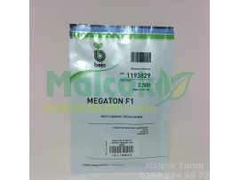 Bejo Megathon F1 Beyaz Lahana Tohumu 2500 Adet