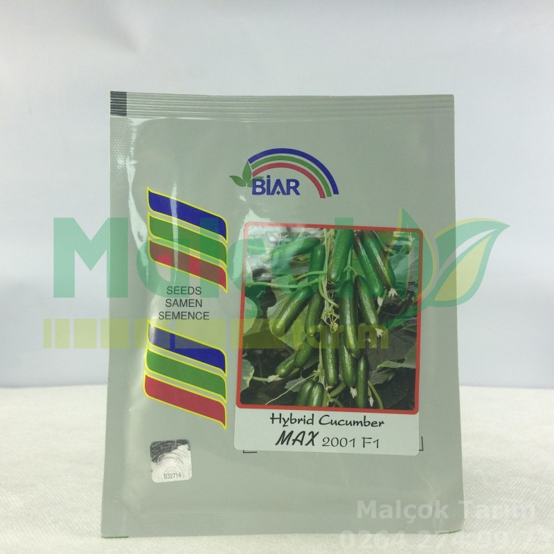 Biar Max 2001 F1 Hibrit Hıyar Tohumu 500 Adet