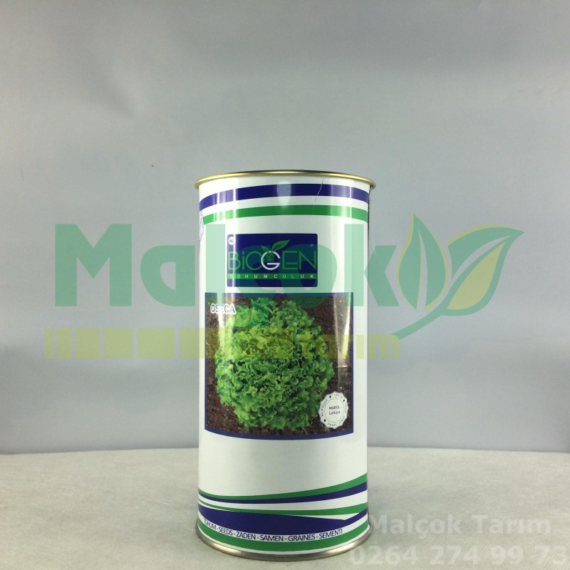 Biogen Oseca Yazlık Kıvırcık Marul Tohumu 500 Gr