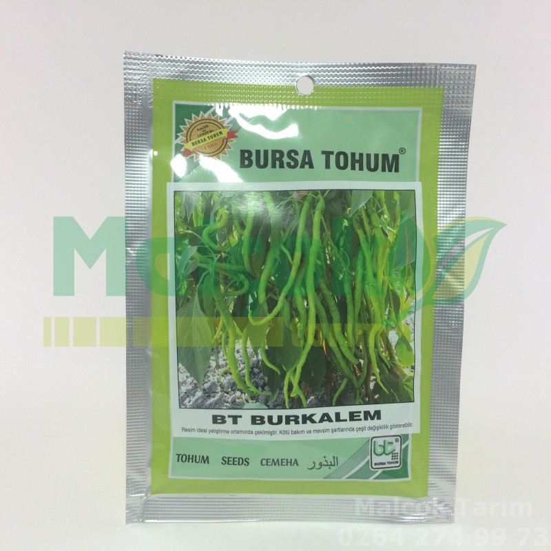 Bursa Bt Burkalem Kıl Tatlı Biber Tohumu 25 Gr