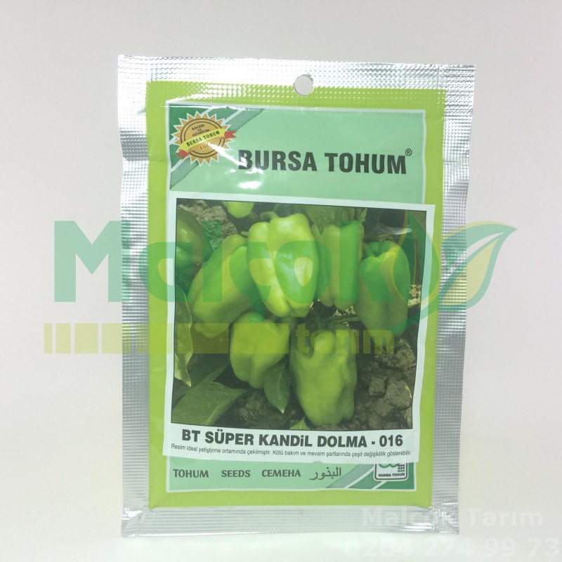Bursa Bt Süper Kandil Dolma Tohumu 25 Gr