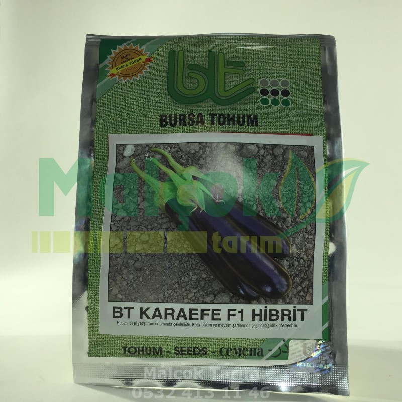 Bursa Karaefe F1 Hibrit Uzun Siyah Patlıcan Tohumu 1000 Adet