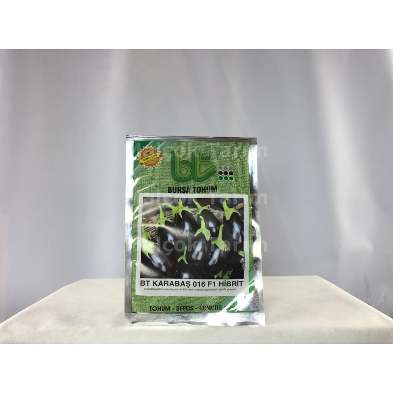 Bursa Tohum Bt Karabaş 016 F1 Hibrit Yuvarlak Patlıcan Tohumu 1000 Adet