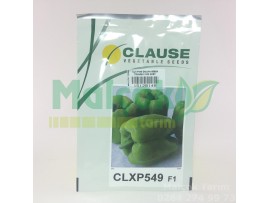 Clause Clxp549 F1 Hibrit Dolma Biber Tohumu 1000 Adet