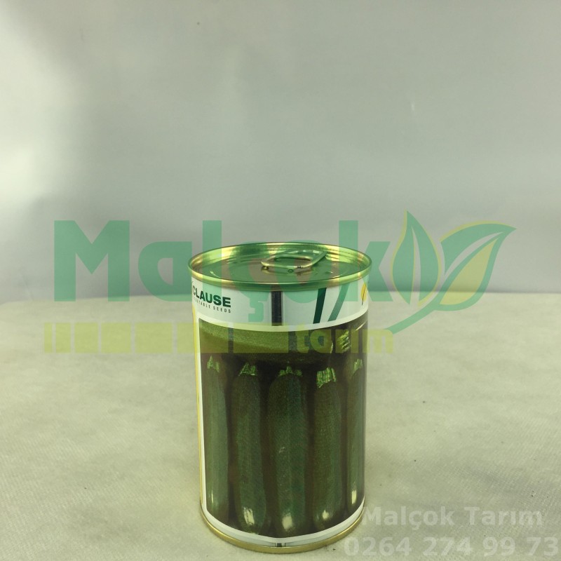 Clause Cora F1 Hibrit Siyah Kabak Tohumu 100 Gr