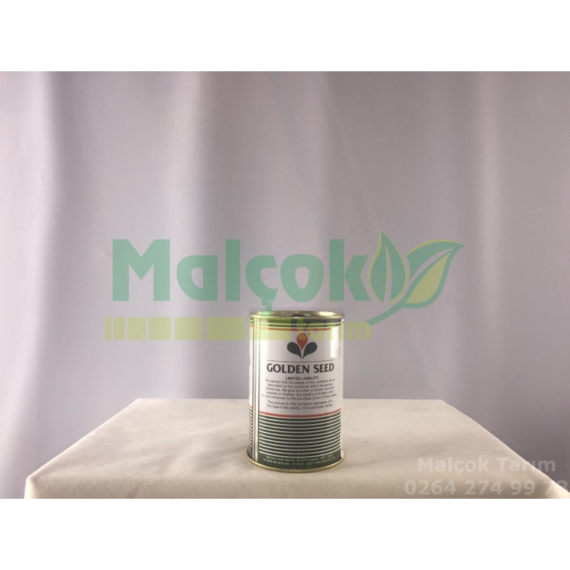 Golden Seed GS 4008 F1 Hibrit Sakız Kabak Tohumu 100 Gr