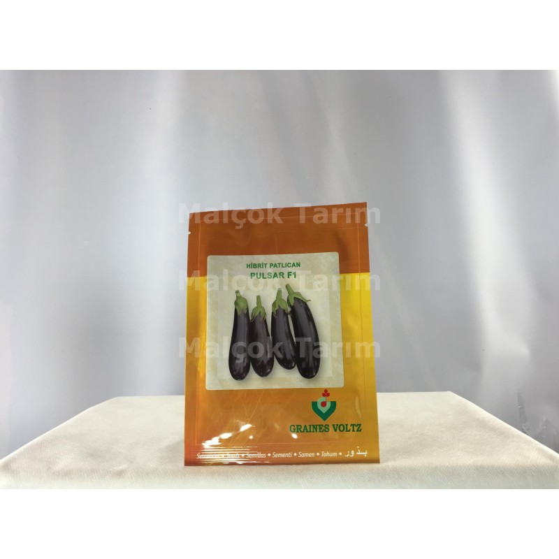 Graines Voltz Pulsar F1 Uzun Patlıcan Tohumu 1000 Adet