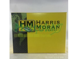 HARRİS MORAN TURBO TATLI MISIR TOHUMU 5000 ADET