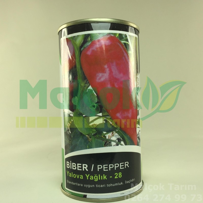 Küçük Çiftlik Yalova Yağlık 28 Salçalık Biber Tohumu 100 Gr