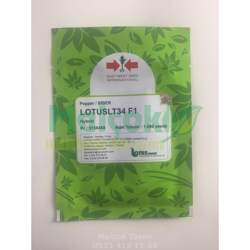 Lotus Lotuslt34 F1 Hibrit Dolma Biber Tohumu 1000 Adet
