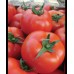 Manier Tohumculuk Şahmat F1 Sofralık Hibrit Sırık Domates Tohumu 1000 Adet