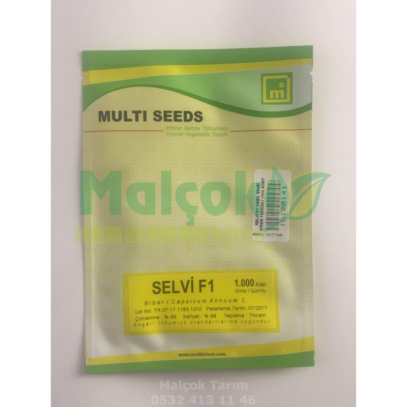 Multi Selvi F1 hibrit Yeşil Sivri Biber Tohumu 1000 Adet