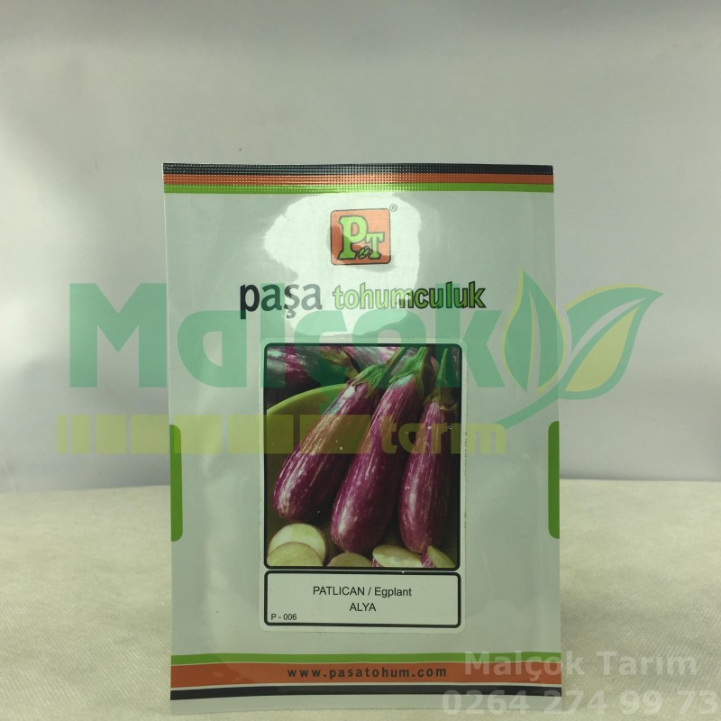 Paşa Alya Mor Patlıcan Tohumu 10 Gr