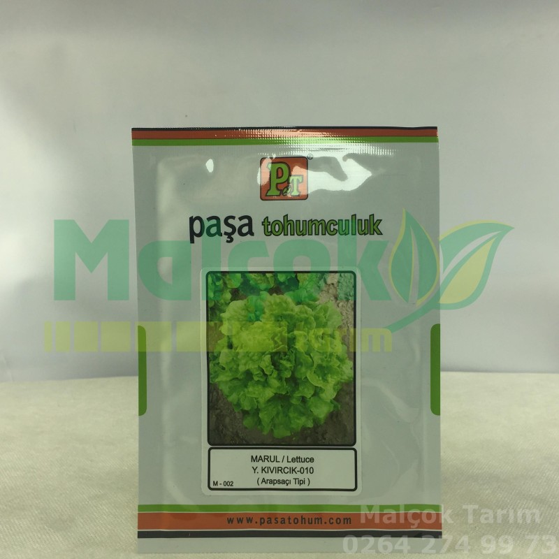 Paşa Arapsaçı Yazlık Kıvırcık Morul Tohumu 10 Gr