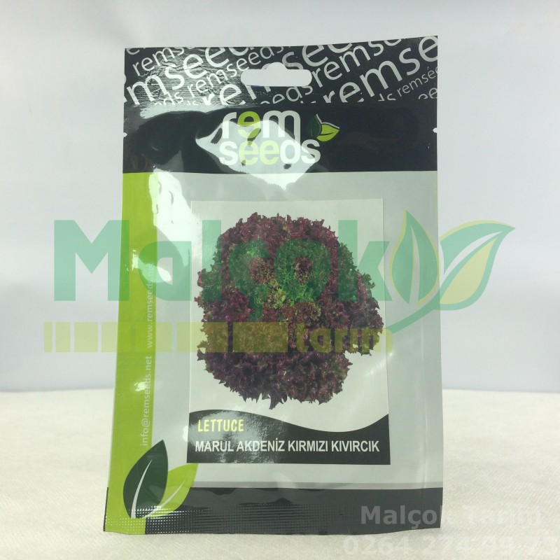 Rem Seeds Akdeniz Kırmızı Kıvırcık Marul Tohumu 5 Gr