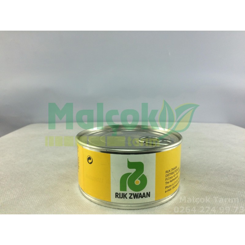 Rijk Zwaan Fonseka Kıvırcık Marul Tohumu 5000 Adet