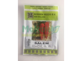 Rossen Seeds Salem F1 Hibrit Salçalık Biber Tohumu 1000 Adet