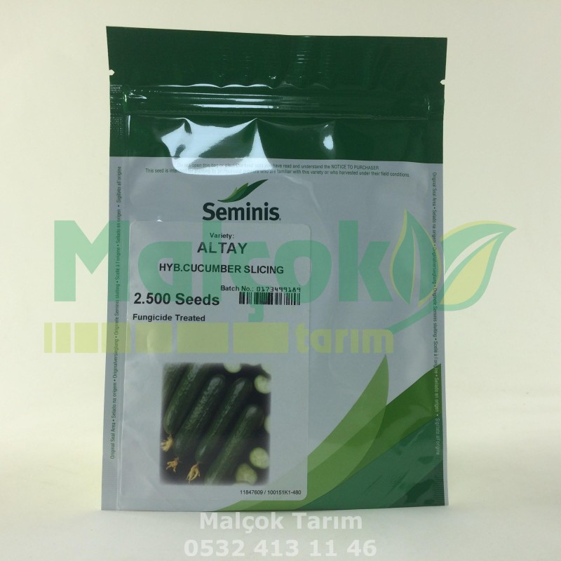 Seminis Altay F1 Hibrit Salatalık Tohumu 2500 Adet