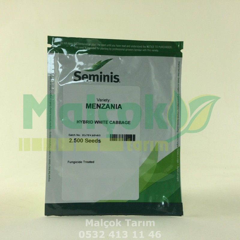 Seminis Menzania F1 Hibrit Beyaz Lahana Tohumu 2500 Adet