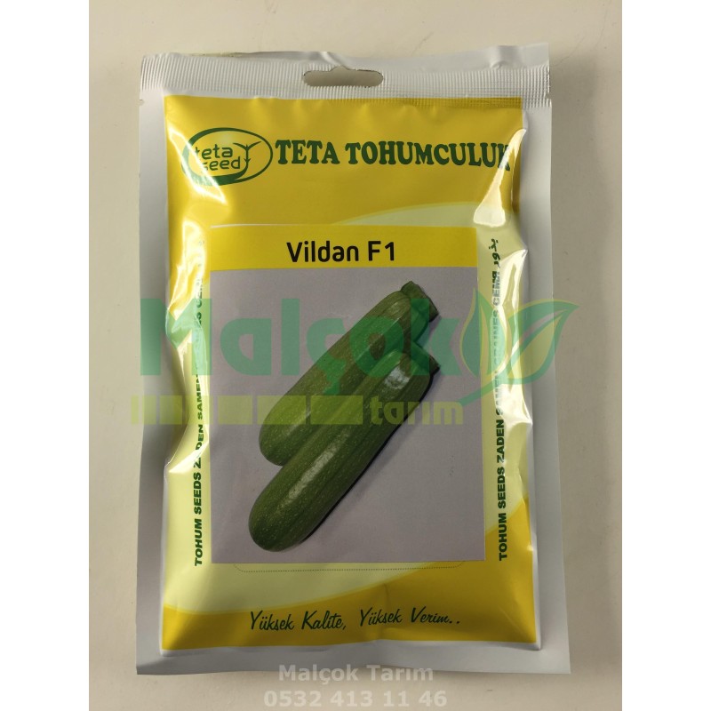 Teta Vildan F1 Hibrit Kızartmalık Kabak Tohumu 500 Adet