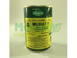 Vilmorin Murat F1 Hibrit Salatalık Tohumu 2500 Adet