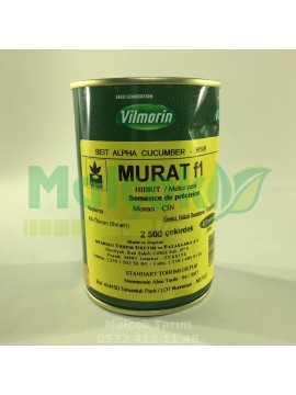 Vilmorin Murat F1 Hibrit Salatalık Tohumu 2500 Adet
