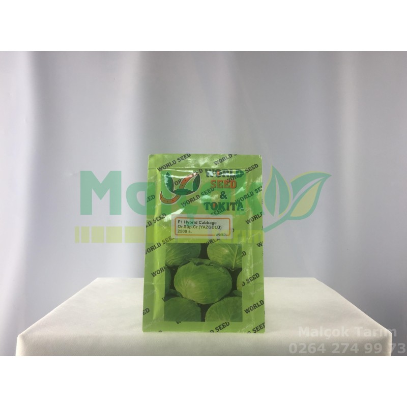 World Seed F1 Yazgülü Beyaz Lahana Tohumu 2500 Adet